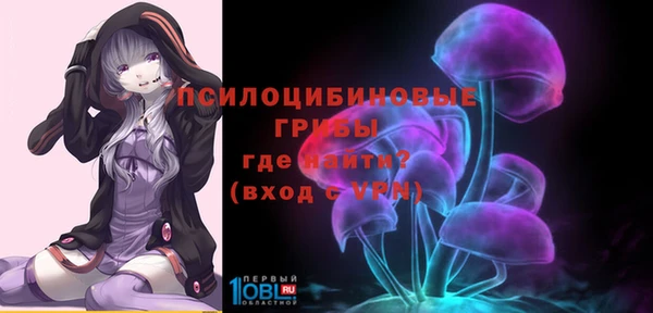 ПСИЛОЦИБИНОВЫЕ ГРИБЫ Мегион