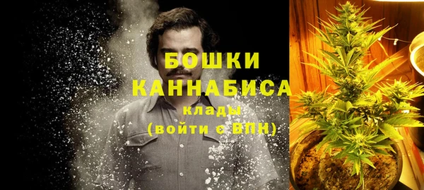 ПСИЛОЦИБИНОВЫЕ ГРИБЫ Мегион