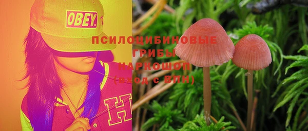 молекула духа Яранск