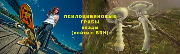 ПСИЛОЦИБИНОВЫЕ ГРИБЫ Мегион